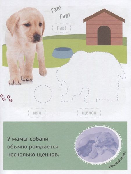 Фотография книги "Гав! Детёныши"