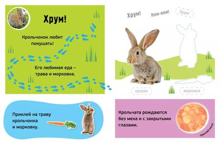 Фотография книги "Гав! Детёныши"
