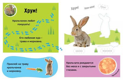 Фотография книги "Гав! Детёныши"