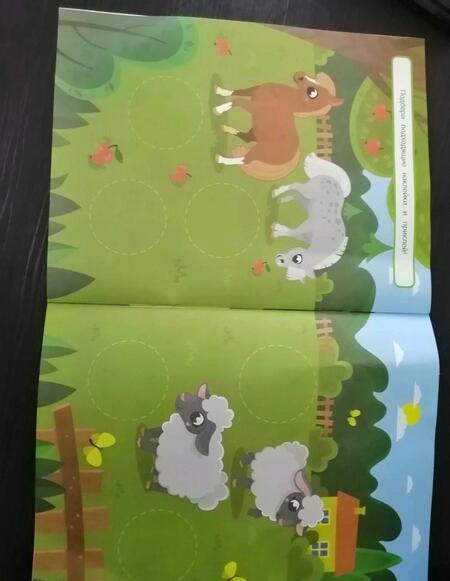 Фотография книги "Где мой малыш? Удобные наклейки для малышей (1+)"