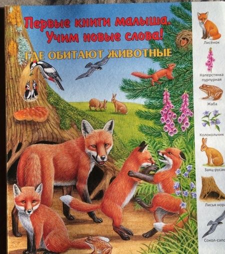 Фотография книги "Где обитают животные?"