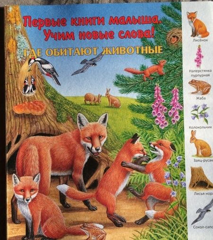 Фотография книги "Где обитают животные?"