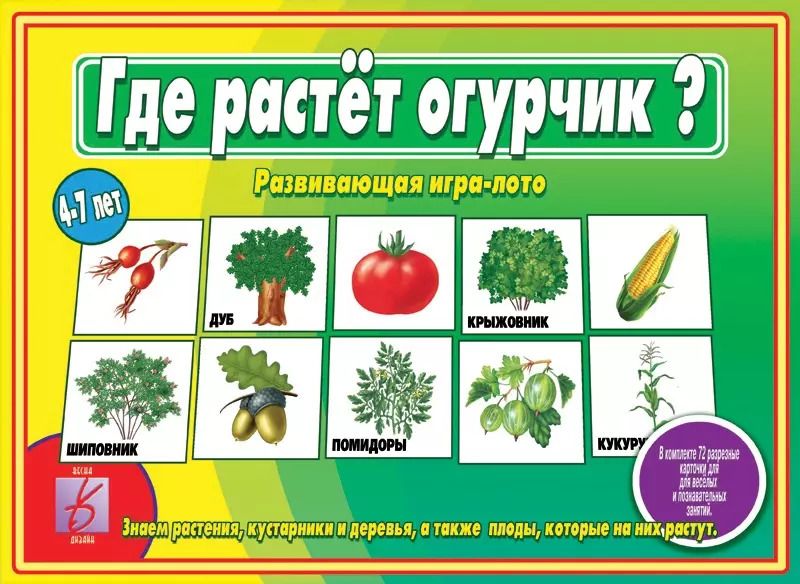 Обложка книги "Где растёт огурчик? Развивающая игра-лото"