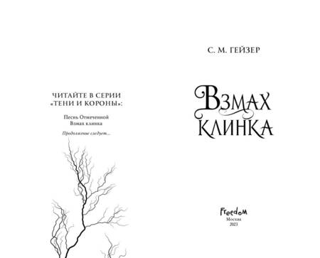 Фотография книги "Гейзер: Взмах клинка"
