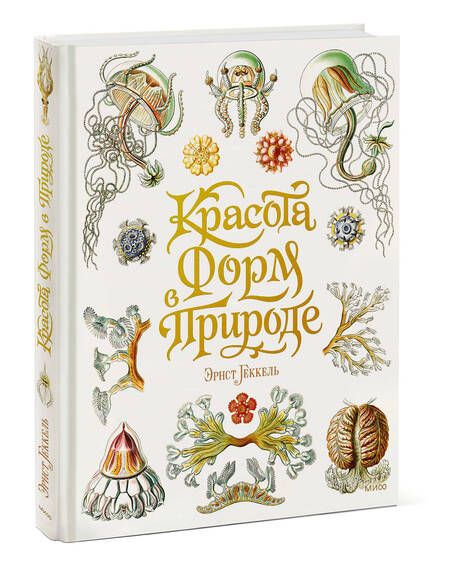 Фотография книги "Геккель: Красота форм в природе"