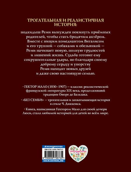 Фотография книги "Гектор Мало: Без семьи. Приключения Реми"