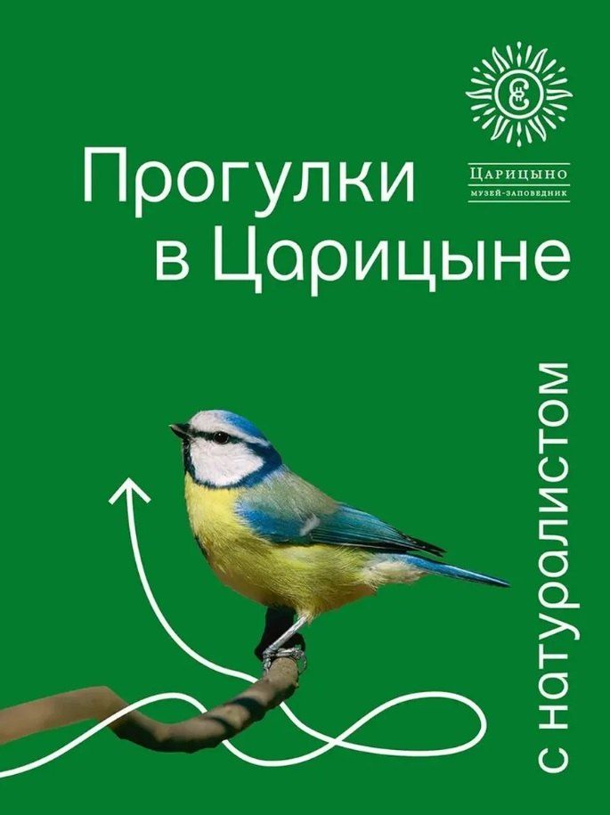 Обложка книги "Геннадьевна, Шайкина, Смирнова: Прогулки в Царицыне с натуралистом"