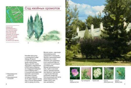 Фотография книги "Геннадьевна, Шайкина, Смирнова: Прогулки в Царицыне с натуралистом"