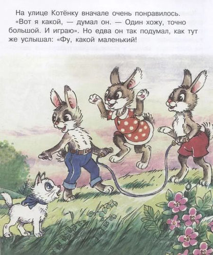 Фотография книги "Геннадий Михайлович: Как стать большим?"