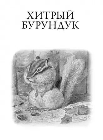 Фотография книги "Геннадий Снегирёв: Рассказы о природе"