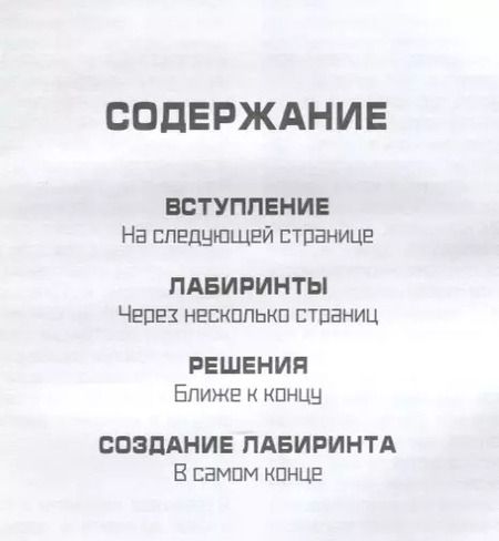 Фотография книги "Генри Фрайд: Мастер лабиринтов. Система развития внимания и концентрации"