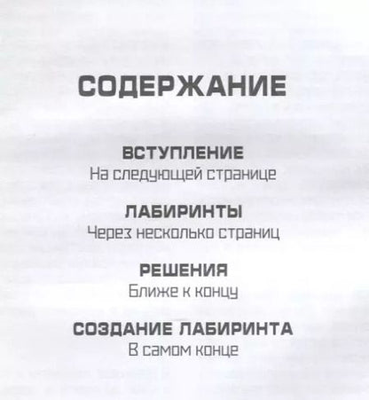 Фотография книги "Генри Фрайд: Мастер лабиринтов. Система развития внимания и концентрации"