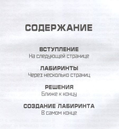 Фотография книги "Генри Фрайд: Мастер лабиринтов. Система развития внимания и концентрации"