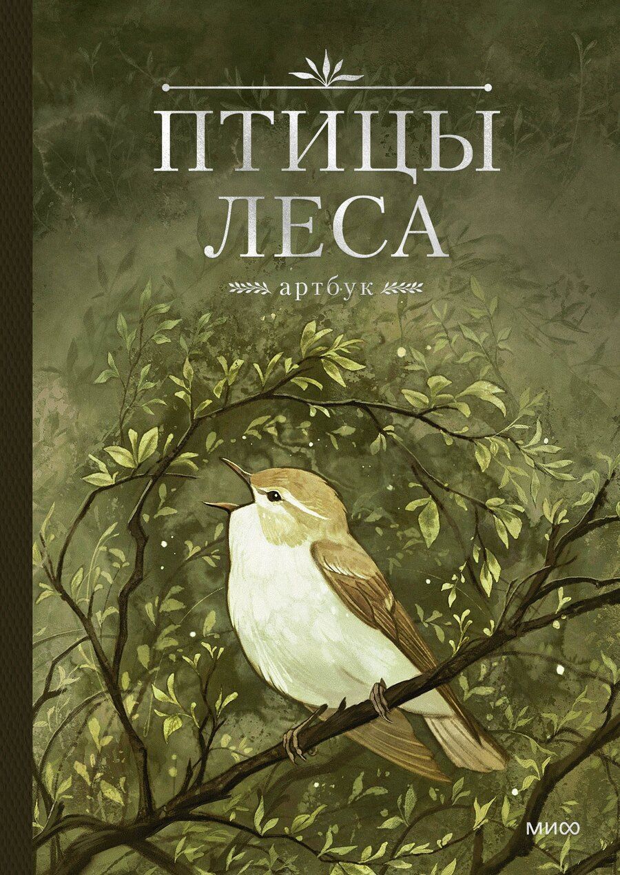 Обложка книги "Geo Saiko: Птицы леса. Артбук"