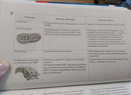 Фотография книги "Георгий Лернер: ЕГЭ. Биология. Новый полный справочник для подготовки к ЕГЭ"