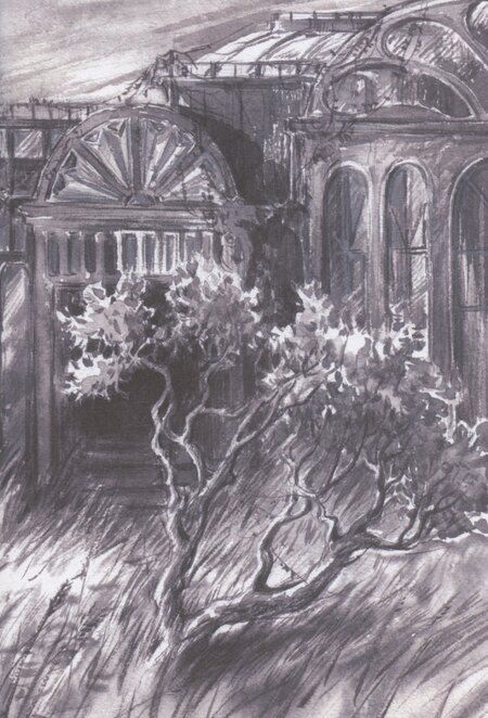 Фотография книги "Гербарий путешественника Полянского"