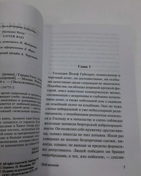 Фотография книги "Гессе: Под колесом"