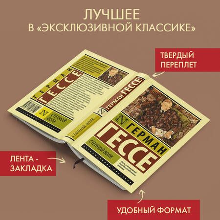 Фотография книги "Гессе: Степной волк"
