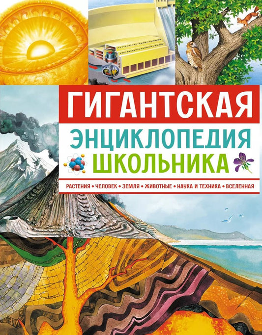 Обложка книги "Гигантская энциклопедия школьника"