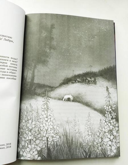 Фотография книги "Гигаури: Иллюзивная материя бытия. Пособие по развитию внутреннего зрения"