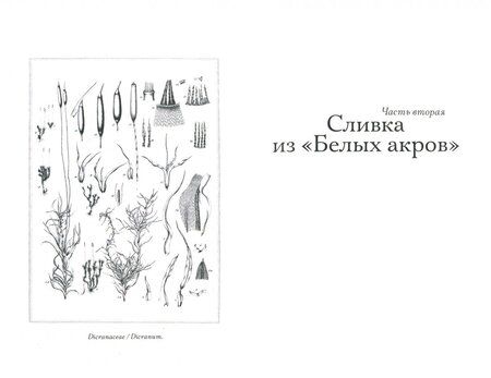 Фотография книги "Гилберт: Происхождение всех вещей"