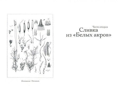 Фотография книги "Гилберт: Происхождение всех вещей"