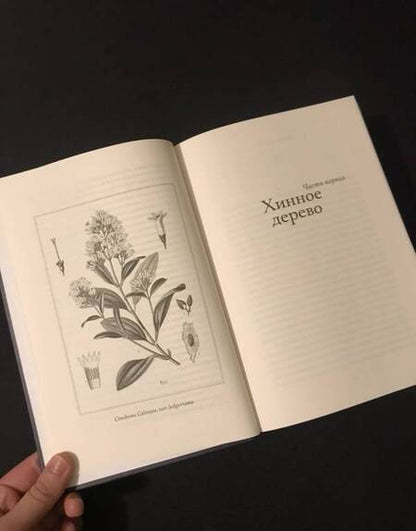 Фотография книги "Гилберт: Происхождение всех вещей"