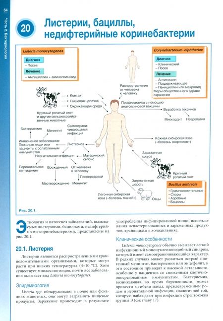 Фотография книги "Гиллеспи, Бэмфорд: Наглядная медицинская микробиология и инфекции. Учебное пособие"