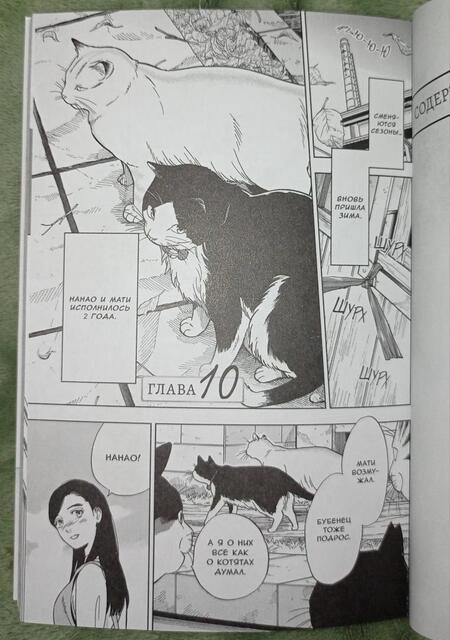 Фотография книги "Гин Сиракава: Жизнь бродячего кота. Том 3"