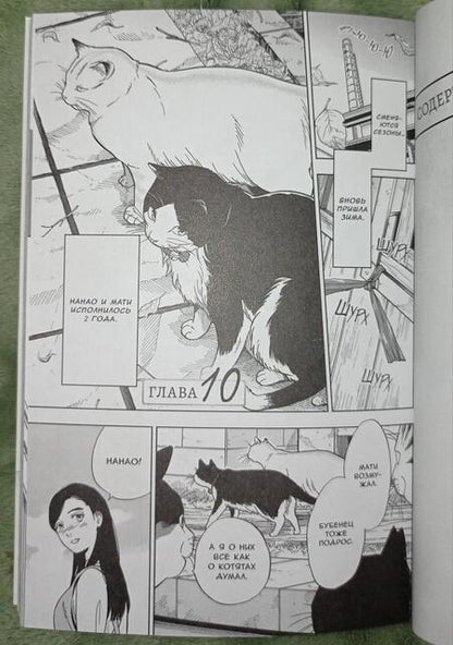 Фотография книги "Гин Сиракава: Жизнь бродячего кота. Том 3"