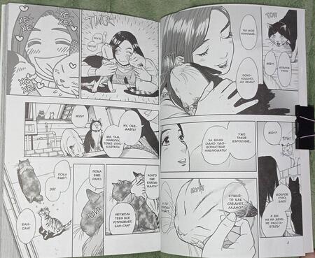 Фотография книги "Гин Сиракава: Жизнь бродячего кота. Том 3"