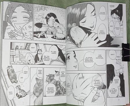 Фотография книги "Гин Сиракава: Жизнь бродячего кота. Том 3"