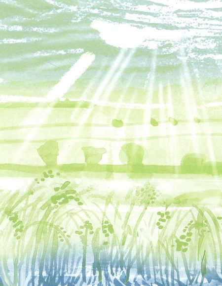 Фотография книги "Гиневский: Дедушкины дождики.Маленькая повесть в рассказах про мальчика Витю, его дедушку и про деревню Бережок"