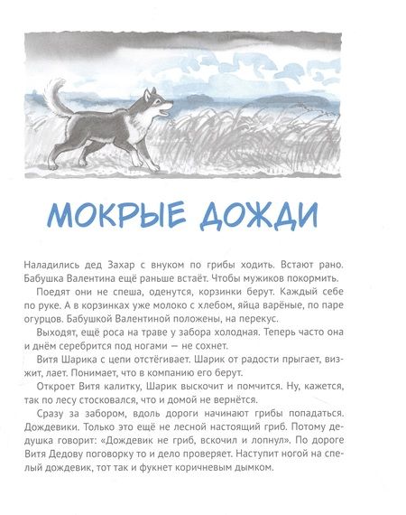 Фотография книги "Гиневский: Дедушкины дождики.Маленькая повесть в рассказах про мальчика Витю, его дедушку и про деревню Бережок"