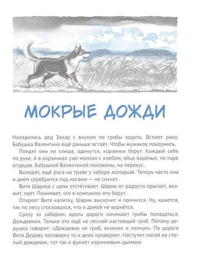 Фотография книги "Гиневский: Дедушкины дождики.Маленькая повесть в рассказах про мальчика Витю, его дедушку и про деревню Бережок"