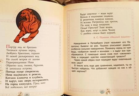 Фотография книги "Гиппенрейтер, Рудаков: Развиваем эмоциональный интеллект. Детям о метафорах"