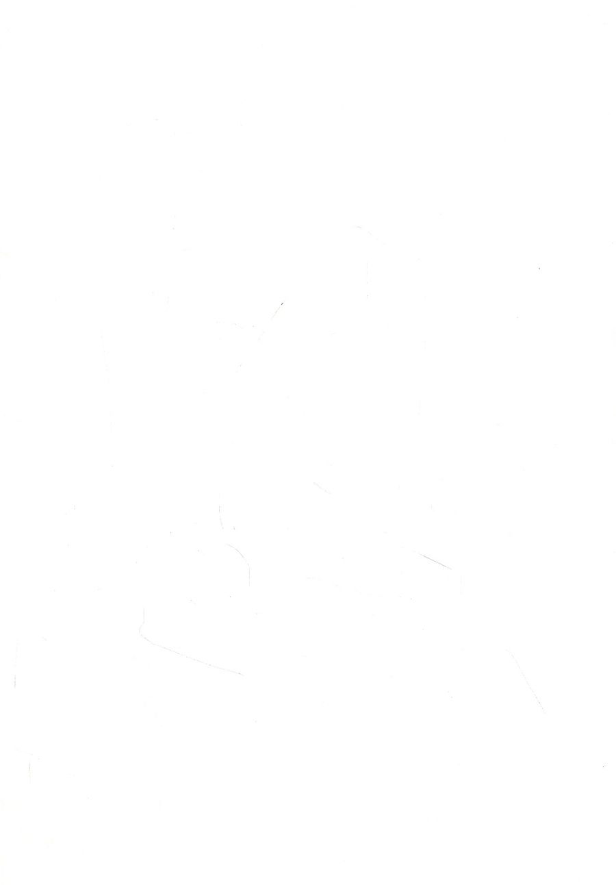 Обложка книги "Гирлина: Селфи Полнолуния"