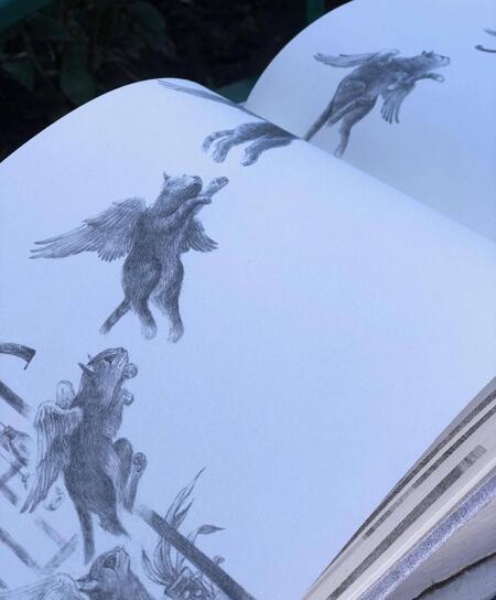 Фотография книги "Го: Потерялся кот"