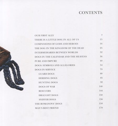 Фотография книги "Gods,Humans, Dogs"