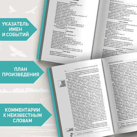 Фотография книги "Гоголь: Мёртвые души"