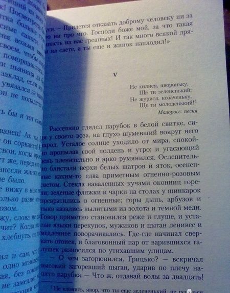 Фотография книги "Гоголь: Вечера на хуторе близ Диканьки"