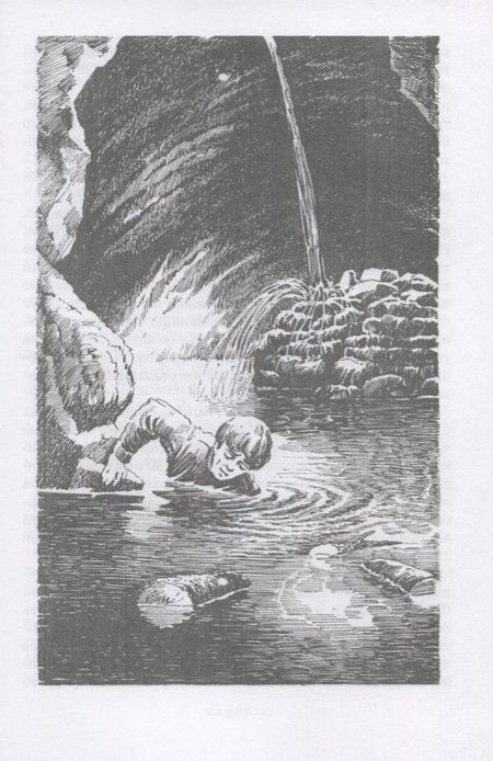 Фотография книги "Головин: Гирр - сын Агу"