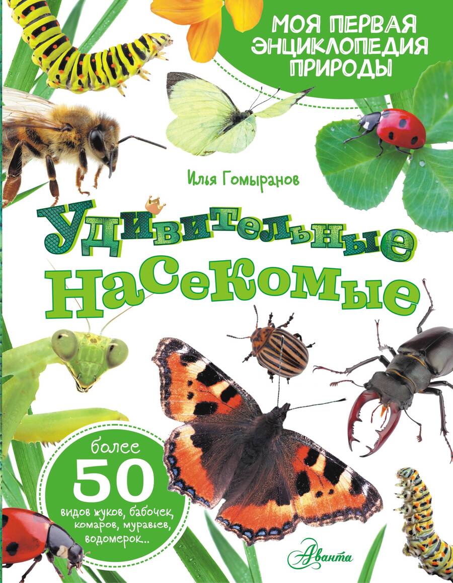 Обложка книги "Гомыранов: Удивительные насекомые"