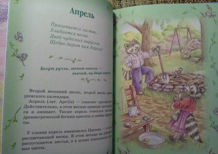 Фотография книги "Гончарова: Еня и Еля. 12 месяцев"