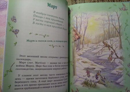 Фотография книги "Гончарова: Еня и Еля. 12 месяцев"