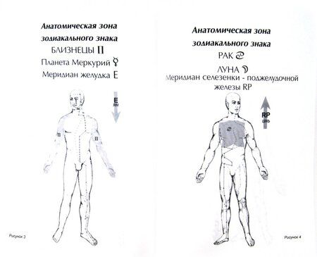 Фотография книги "Гоникман: Пятиэлементный Зодиак. Психофизиологические и астромеридианные связи"