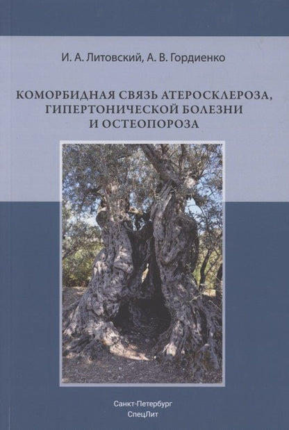 Обложка книги "Гордиенко, Литовский: Коморбидная связь атеросклероза, гипертонической болезни и остеопороза"
