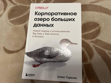 Фотография книги "Горелик: Корпоративное озеро больших данных. Новый подход к использованию Big Data и Data Science в бизнесе"