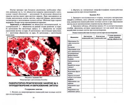 Фотография книги "Гореликов, Шакирова: Биология размножения и развития. Лабораторный практикум. Учебно-методическое пособие"