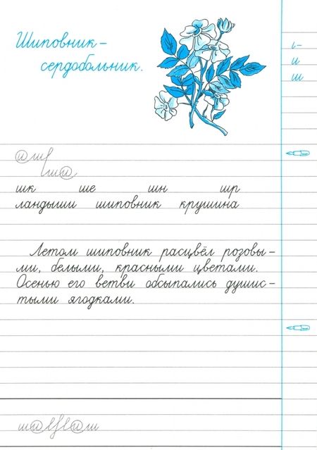 Фотография книги "Горецкий, Игнатьева: Чистописание. 3 класс. Рабочая тетрадь № 1. ФГОС"